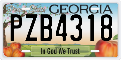 GA license plate PZB4318