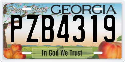 GA license plate PZB4319