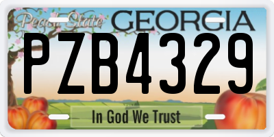 GA license plate PZB4329