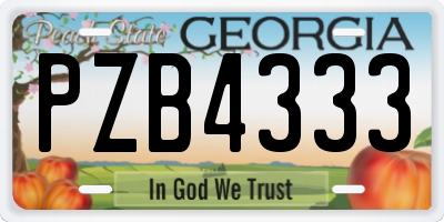 GA license plate PZB4333
