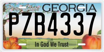GA license plate PZB4337