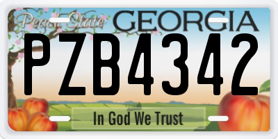 GA license plate PZB4342