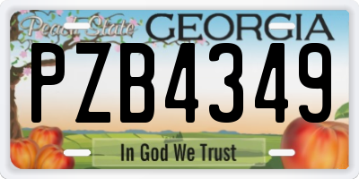 GA license plate PZB4349