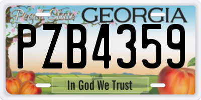 GA license plate PZB4359