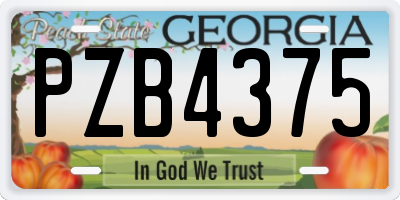 GA license plate PZB4375