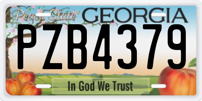 GA license plate PZB4379
