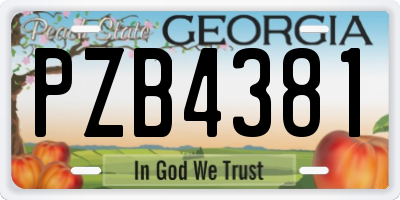 GA license plate PZB4381