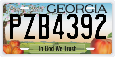 GA license plate PZB4392