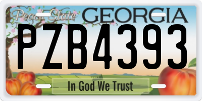 GA license plate PZB4393