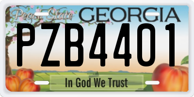 GA license plate PZB4401