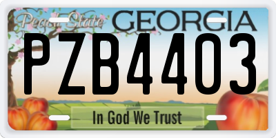 GA license plate PZB4403