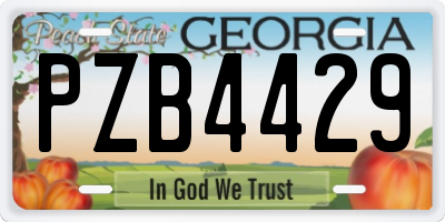 GA license plate PZB4429