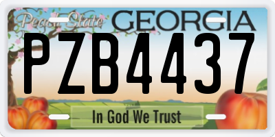 GA license plate PZB4437