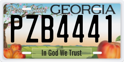 GA license plate PZB4441