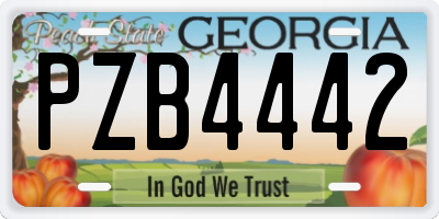 GA license plate PZB4442