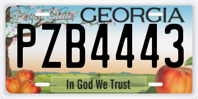 GA license plate PZB4443