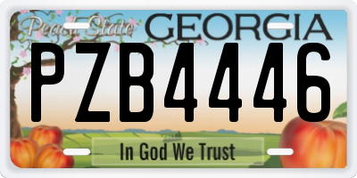 GA license plate PZB4446