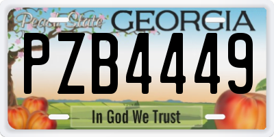 GA license plate PZB4449