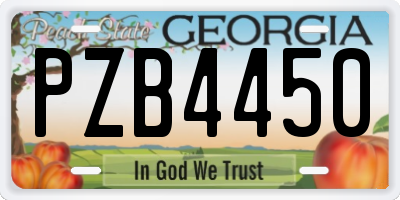 GA license plate PZB4450