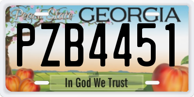 GA license plate PZB4451