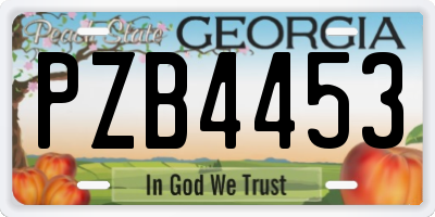 GA license plate PZB4453