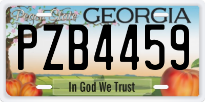 GA license plate PZB4459