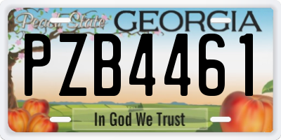 GA license plate PZB4461