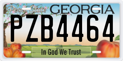 GA license plate PZB4464
