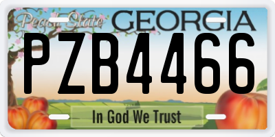 GA license plate PZB4466