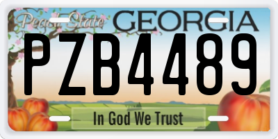 GA license plate PZB4489