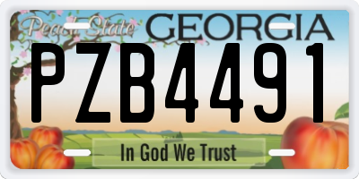 GA license plate PZB4491