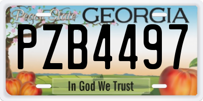 GA license plate PZB4497