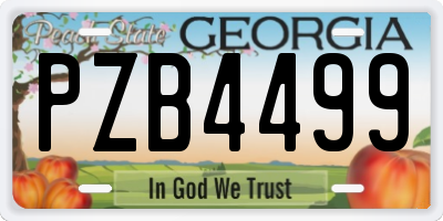 GA license plate PZB4499