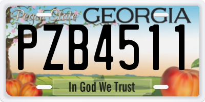GA license plate PZB4511