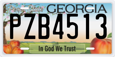 GA license plate PZB4513