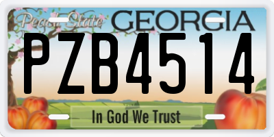 GA license plate PZB4514