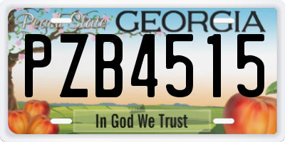 GA license plate PZB4515
