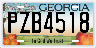 GA license plate PZB4518