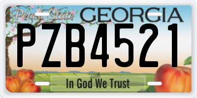 GA license plate PZB4521