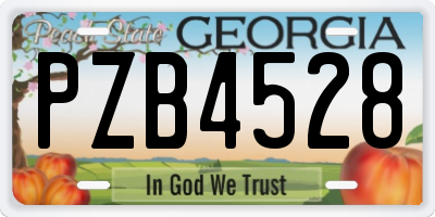 GA license plate PZB4528