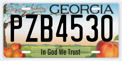 GA license plate PZB4530