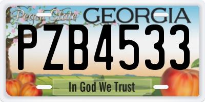 GA license plate PZB4533