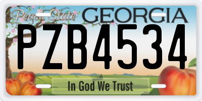GA license plate PZB4534