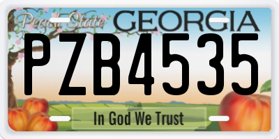 GA license plate PZB4535