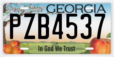 GA license plate PZB4537