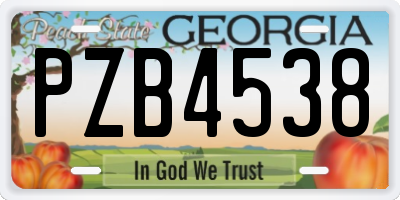 GA license plate PZB4538