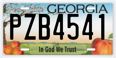 GA license plate PZB4541