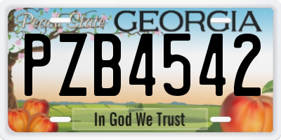 GA license plate PZB4542