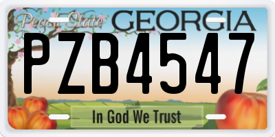 GA license plate PZB4547