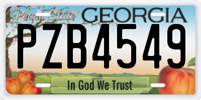 GA license plate PZB4549